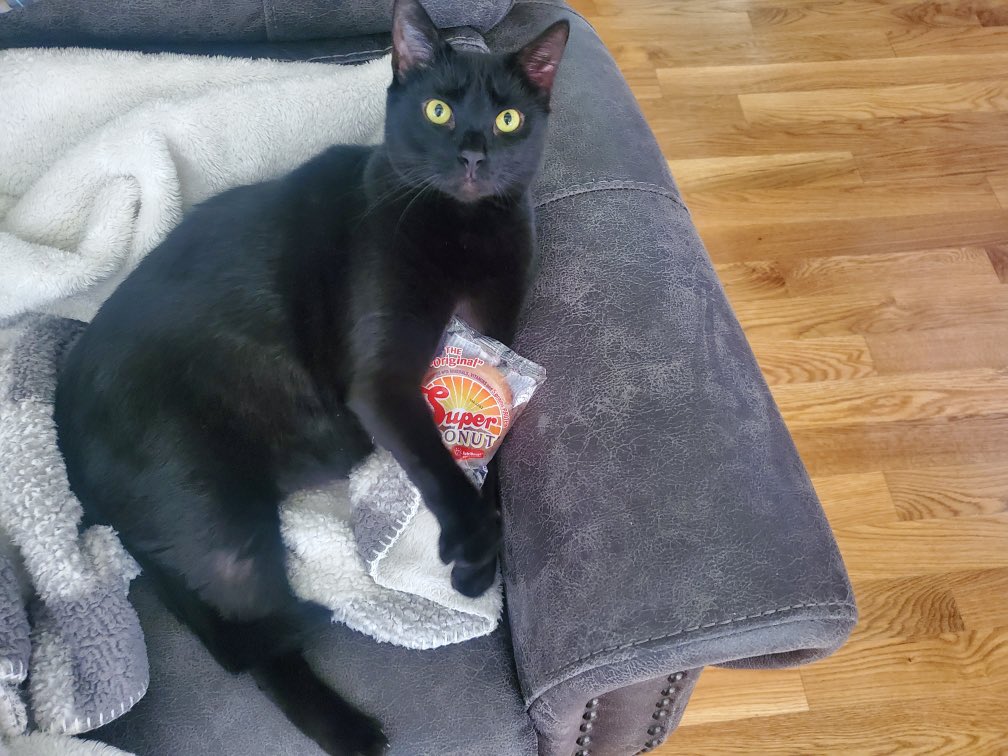 RealSuperDonut's tweet photo. Happy National Pet Day!! 🐾 WIN A FREE CASE OF ORIGINAL SUPER DONUTS® 🍩 Visit our Facebook Page for more details! 👀 @SuperBakery®
#superdonuts #nationalpetday #contest #HealthyEating https://t.co/s3F4xgMysU
