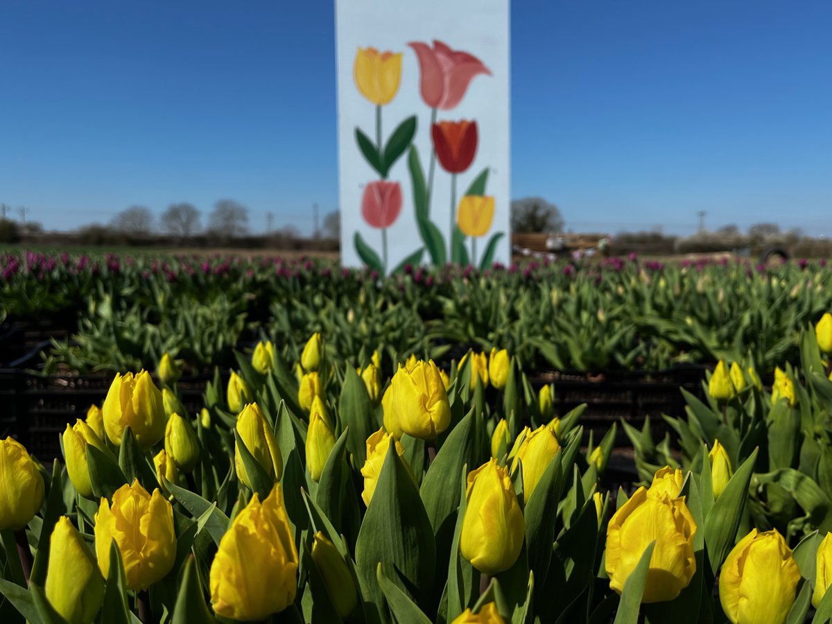 Bury Lane April 2023 Newsletter - mailchi.mp/ewpepper/bury-…