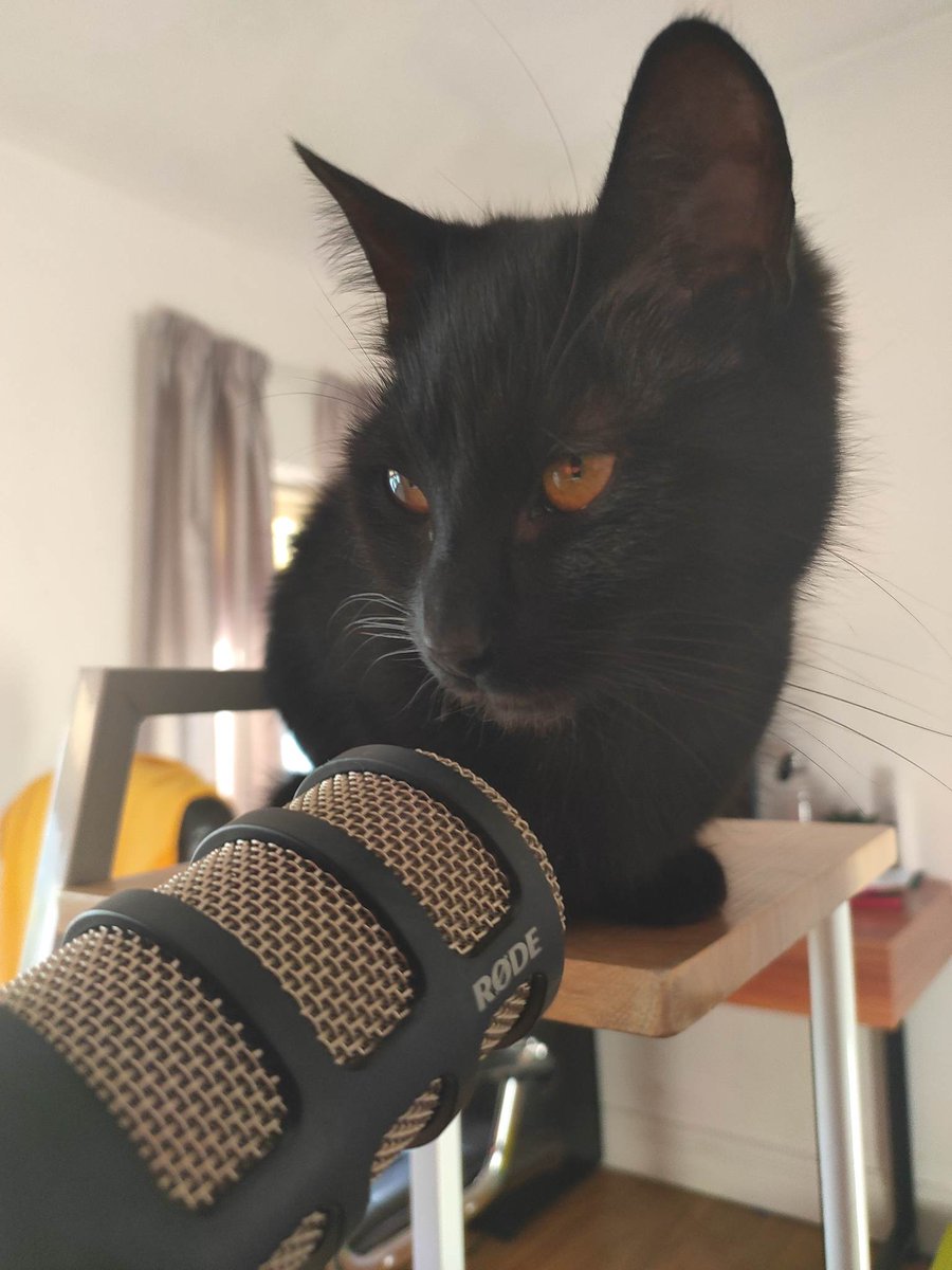 ParanormalHL's tweet photo. I'm legally required to include these pictures of Púca, Balor and some cats that we cover this week (Tama and Bakeneko). https://t.co/itDskWT2n7