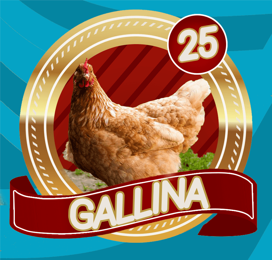 LottoVerde's tweet photo. LOTTO VERDE
SORTEO
11/04/2023
12:30 PM
25 GALLINA
@LottoVerde https://t.co/38fIzVCYs4