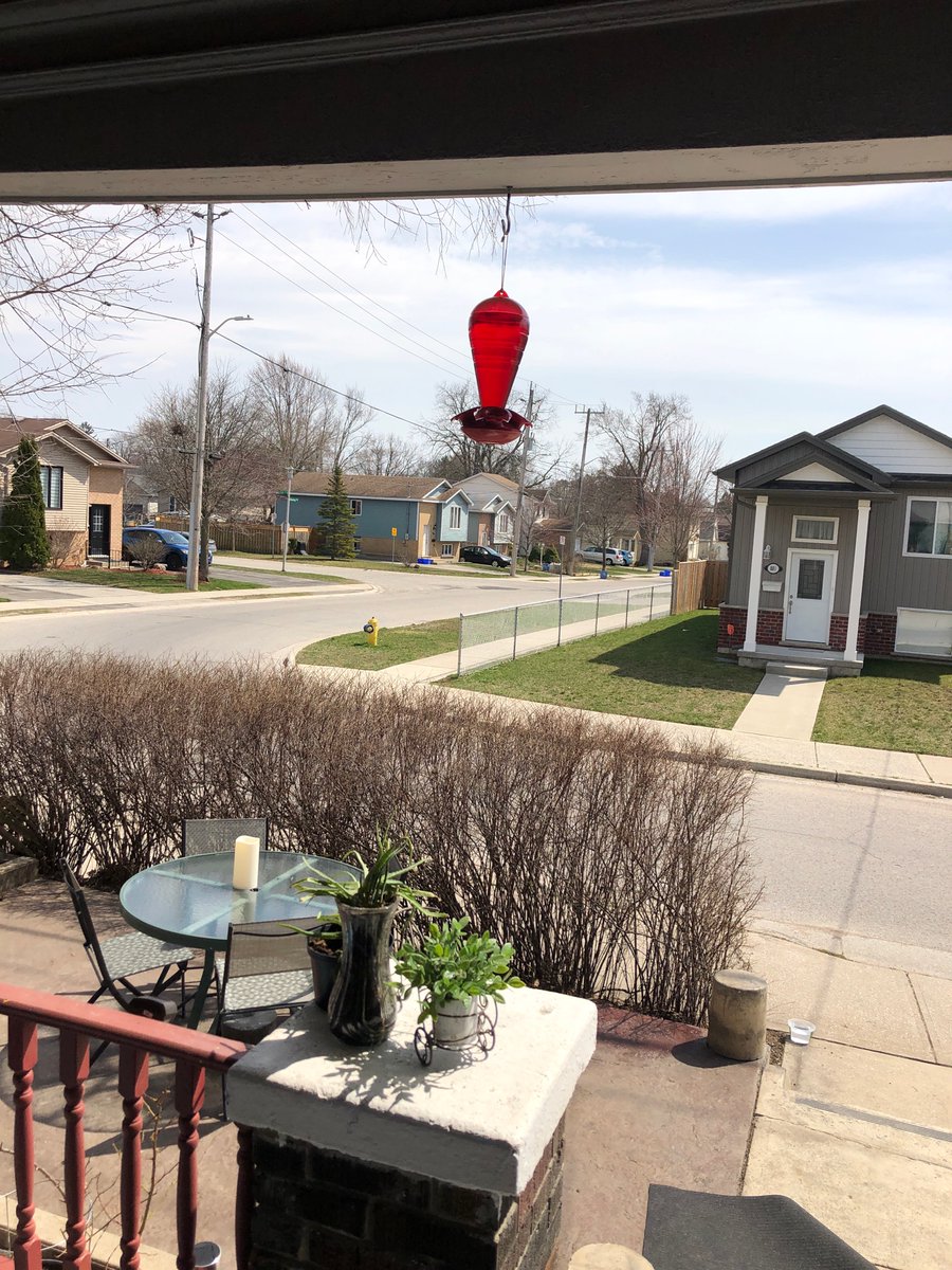 CanadianTrumpFans tweet media