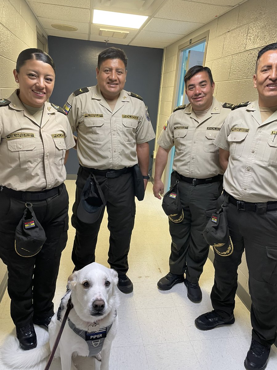 Police Therapy dog Piper enjoyed meeting a delegation from Ecuador who had lots of great questions about her role and skills!
#VSP
<a href="/PiperServiceDog/">Service Dog Piper</a> 
#therapydogs