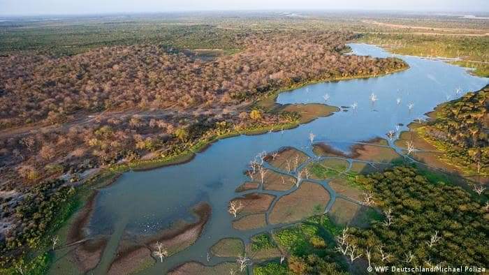 Egyintz's tweet photo. Selous Game Reserve 🍁🇹🇿 #Tanzania https://t.co/sn1VDMlRee