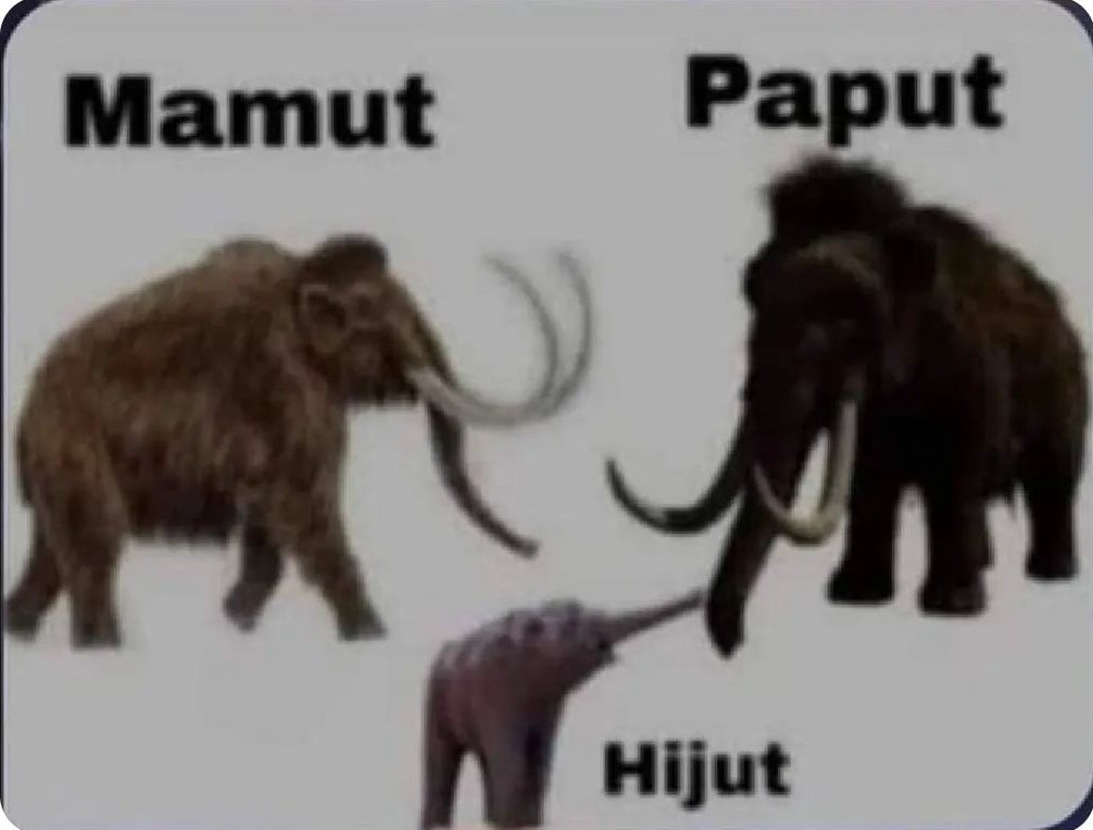 Raspatuit's tweet image. Y hasta aquí, mi disertación sobre paleontologia.