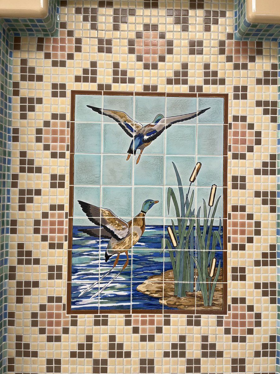 In #WinonaMN today and fell in love with this tile backsplash at the water fountain at City Hall. As Minnesotans, we do love our natural resources. #ducks