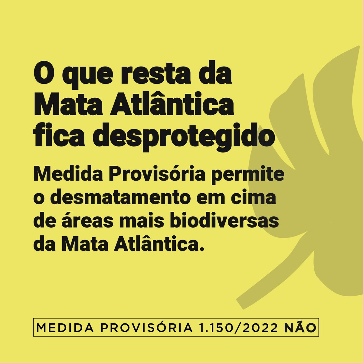 deolhonocodigo's tweet photo. 🚨 Alerta! DIGA NÃO À MP1150l! @senadofederal a Medida Provisória (1150) pode aumentar o já alarmante desmatamento no Brasil, inclusive no pouco que restou da Mata Atlântica. #SalveOCodigoFlorestal #SalveAMataAtlântica https://t.co/AwZ0WqLTfA