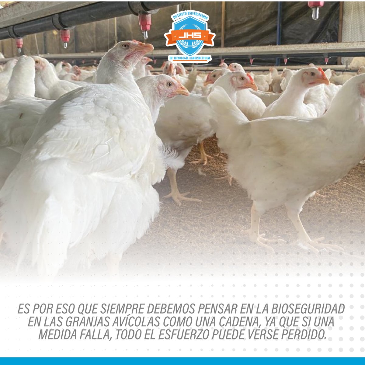 La bioseguridad en las #granjasavícolas es fundamental para garantizar la sanidad de nuestros animales ☝🏼🐔

Es por ello que te mencionamos algunos puntos de entradas de patógenos a los galpones y de las cuales debemos estar pendientes para evitar daños en nuestras aves👇