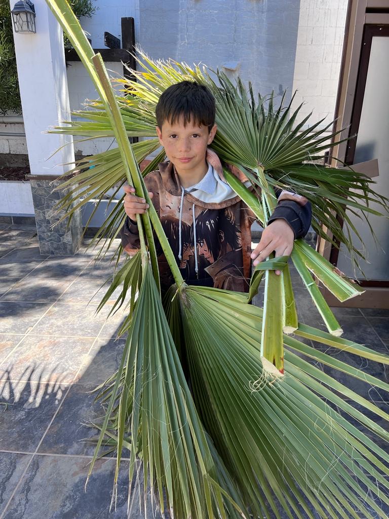 ProjectMexico's tweet image. Mounted on the throne in heaven, Christ God, and on the colt on earth, you accepted the praise of the angels and the hymn of the children who cried to you, “Blessed are you who come to call back Adam.” #palmsunday #journeytopascha #orthodox #orthodoxy #liveorthodoxy #holyweek