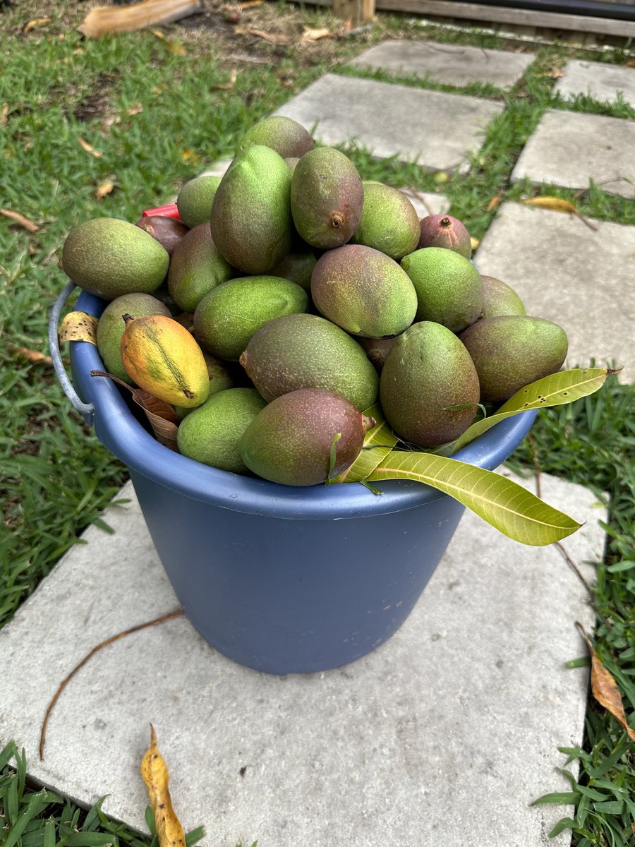 Soledad O'Brien tweet media