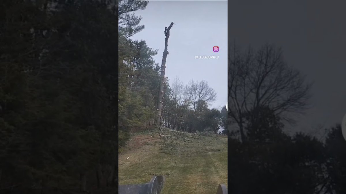 AllForGardening's tweet image. Pine logs going boom! 💥 #mobetta #ast  ...
 
#GardenSupplies #GardenSupply #GardenersSupplies #GardenersSupply
 
allforgardening.com/439479/pine-lo…