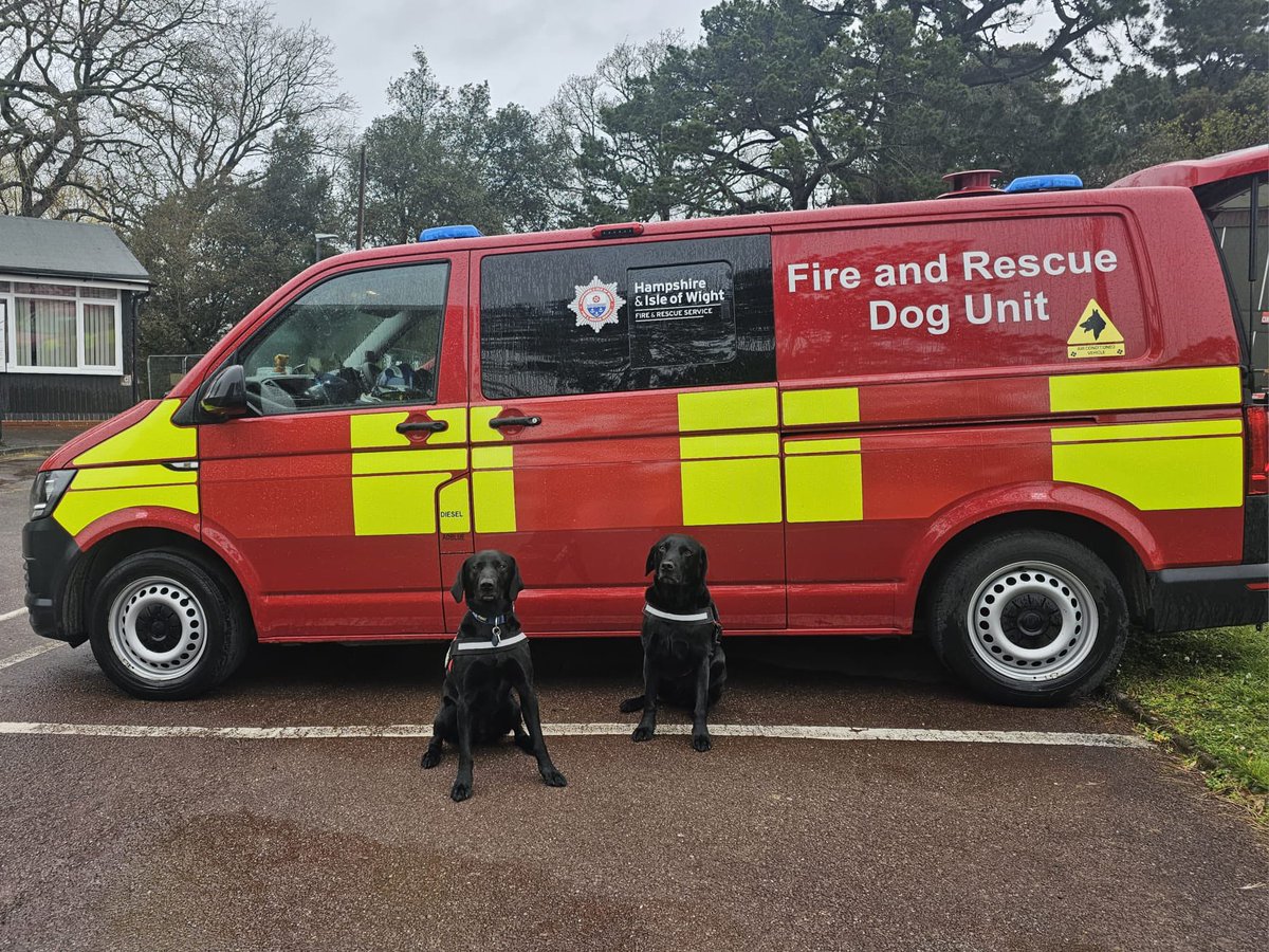 Fire Service Search Dog’s Eric and Saxon tweet media