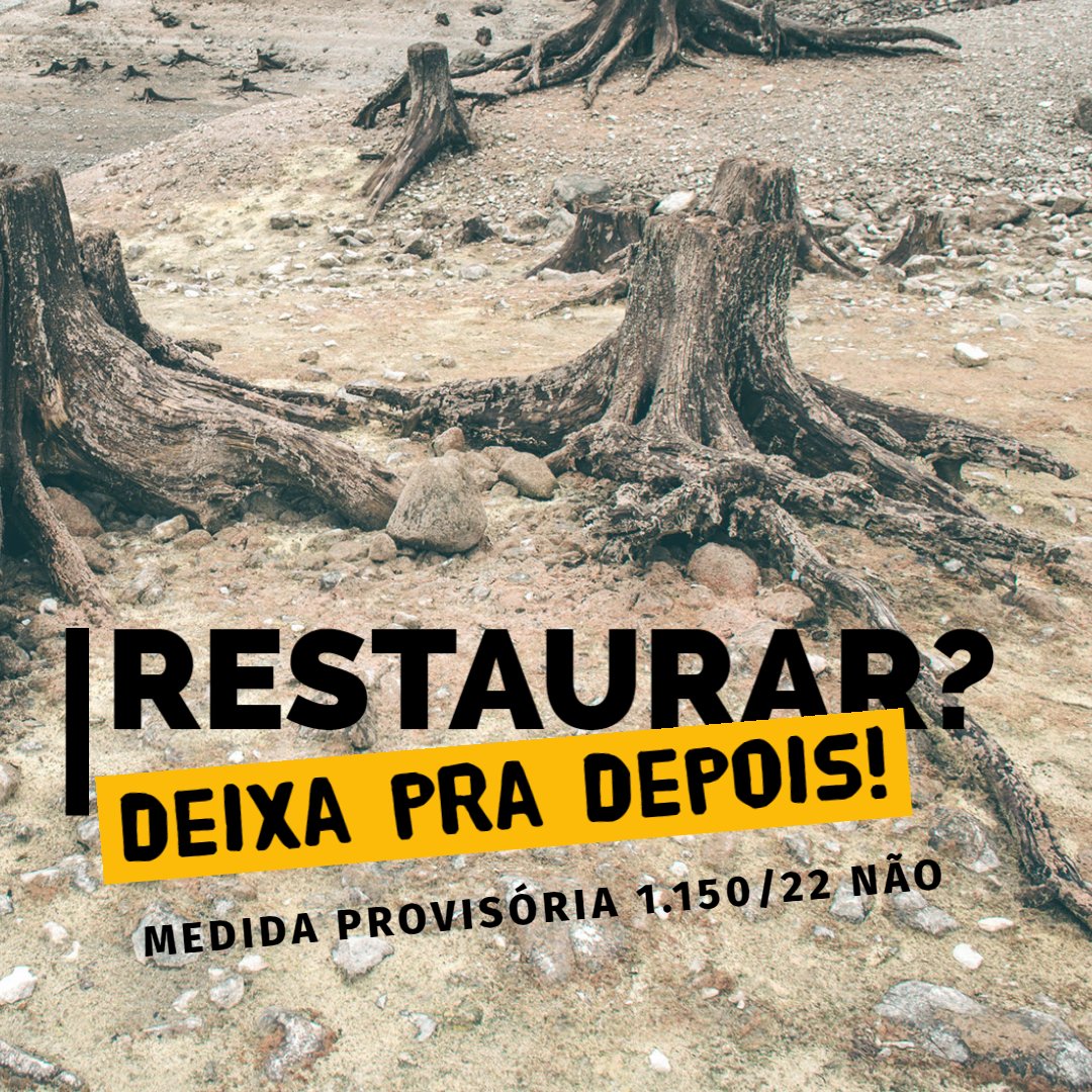 deolhonocodigo's tweet photo. 📢DIGA NÃO À MP1150, que passa por cima da recuperação das nossas florestas desmatadas há mais de 15 anos! 

#SalveOCódigoFlorestal #SalveAMataAtlântica https://t.co/YcIOzQ2E53