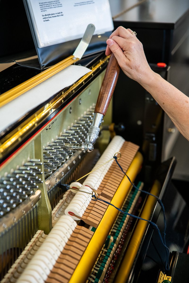 Meridian Music tweet media