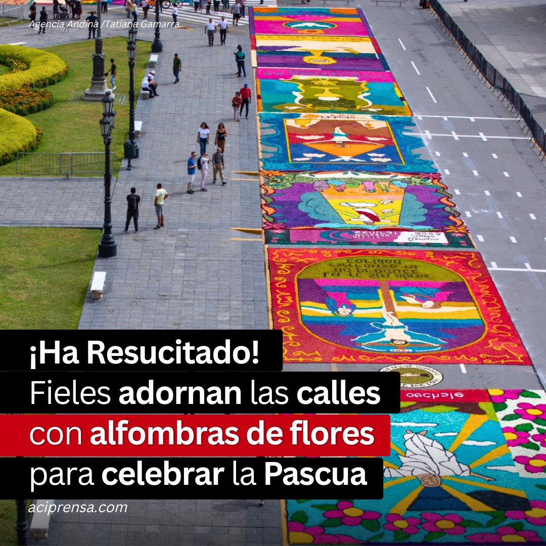 aciprensa's tweet photo. ¡Cristo ha resucitado y estamos alegres! El Domingo de Resurrección del Señor, las calles de la Plaza Mayor de Lima, en Perú, amanecieron decoradas con 33 alfombras de flores para celebrar la Pascua. https://t.co/qsku9tCzyH https://t.co/P9QjEXNjtd
