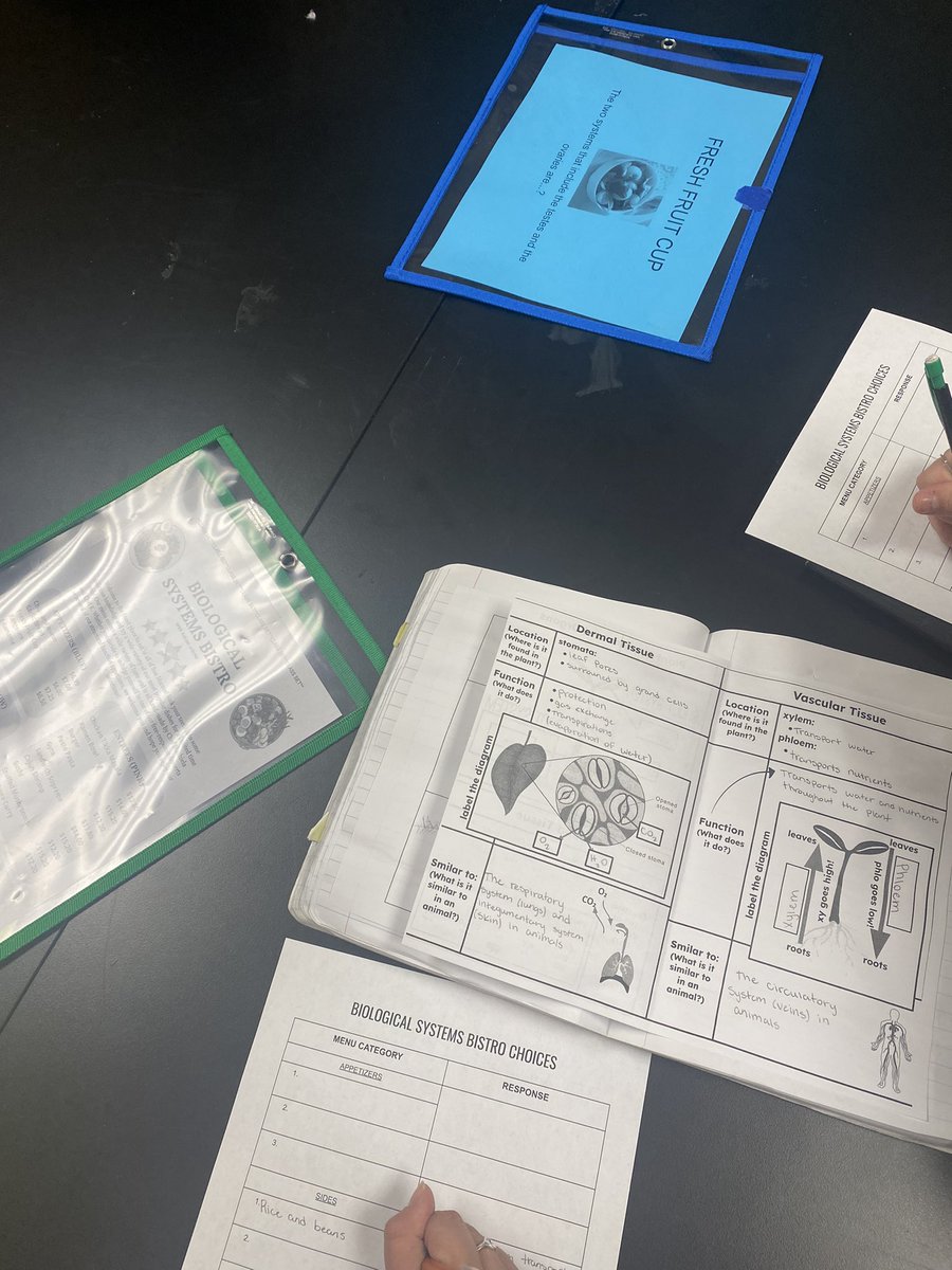 SMHSBio's tweet photo. Dishin’ out our knowledge about Plant and Animal Organ Systems and interactions. Students visited the Biological Systems Bistro and analyzed different levels of questions about systems. Great collaboration and conversation going on. @SRattlerscience @SMHS_SMCISD https://t.co/IkAiMrRNn4