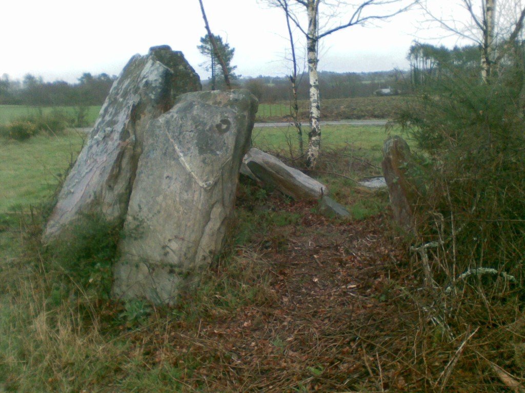 #TombTuesday 

Remains of the very deteriorated Mollafariña dolmen (co. Xermade, #Galicia). This dolmen was part of a larger megalithic necropolis.

📸 Prieto (Patrimonio Galego)