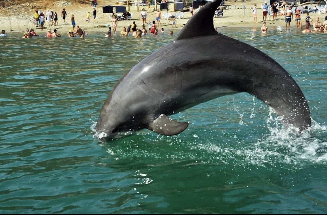 BowTiedColombia 🇨🇴🌞 on Twitter "Colombia is very dangerous, it is