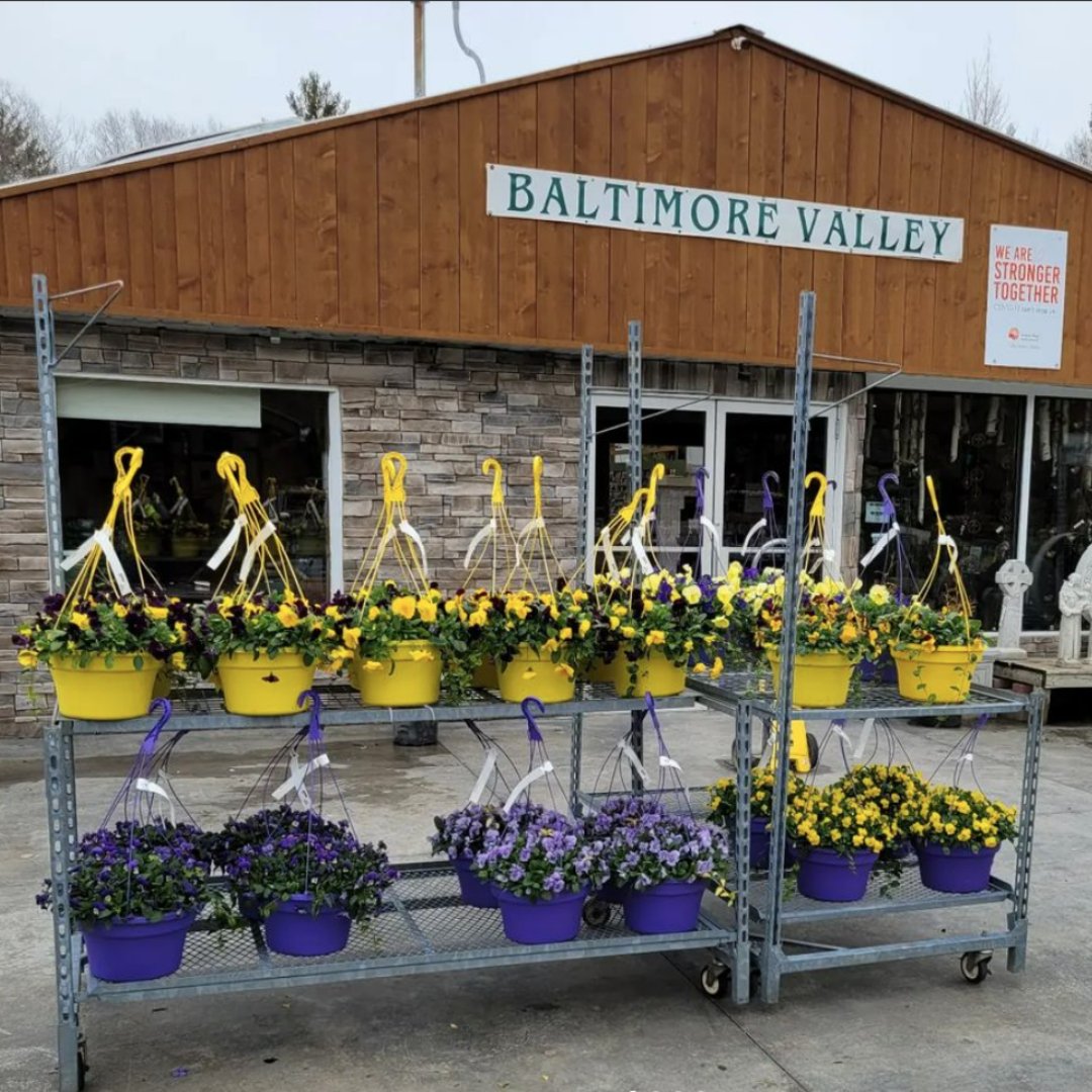 Seeds and sprouts and plants, oh my! Fresh things are growing here in Northumberland County. Visit our local farm markets and garden centres to pick up the delicious ingredients for a healthy meal or some ready-to-plant options for your home garden.