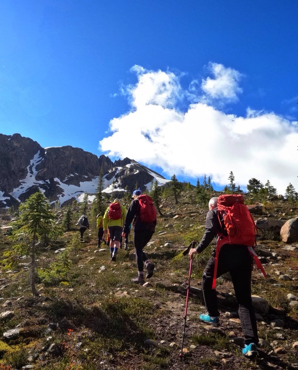 cmh_heli's tweet photo. Who is getting excited about heli-hiking season?! ✋ 
☀️ 
Check out https://t.co/H3BLT0Dml2 to learn more about heli-hiking with us at our 3 Summer Destinations this season! https://t.co/BYKqp04b8Q