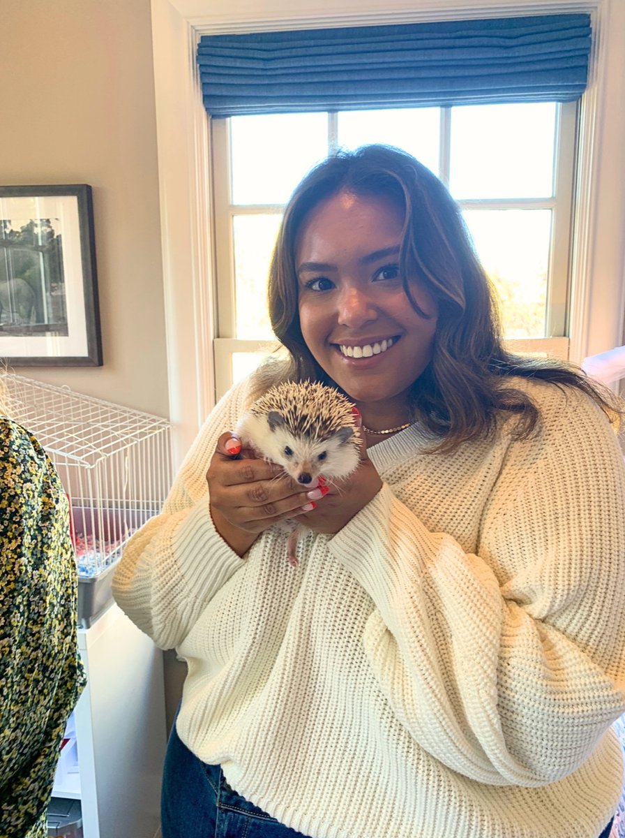 MultistoryPR's tweet photo. 🐾 Happy #NationalPetDay from all of us at Multistory Media! 🎉 As a team of #petlovers, we are celebrating the joy and happiness our furry friends bring to our lives! 🐶🐱

⭐️ Alli's dog Maya
⭐️ Cooper's dog Pippa
⭐️ Cooper's hedgehog Henry ft. Danielle
⭐️ Arden's dog Murray https://t.co/6Kj0YQR89B