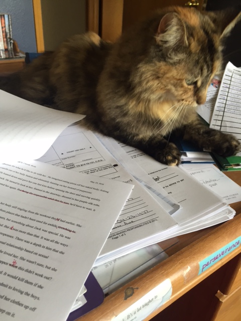 JillLHaymaker's tweet image. my writing assistant #springromance #2019romancenovels