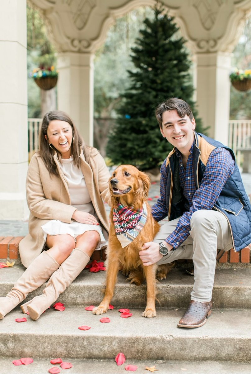MultistoryPR's tweet photo. 🐾 Happy #NationalPetDay from all of us at Multistory Media! 🎉 As a team of #petlovers, we are celebrating the joy and happiness our furry friends bring to our lives! 🐶🐱

⭐️ Alli's dog Maya
⭐️ Cooper's dog Pippa
⭐️ Cooper's hedgehog Henry ft. Danielle
⭐️ Arden's dog Murray https://t.co/6Kj0YQR89B