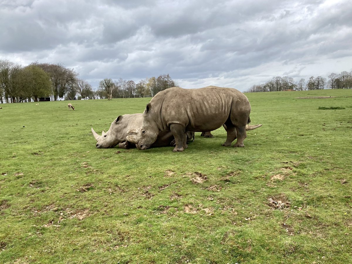 _ColourMeOnce_'s tweet photo. A great but cold day at @ZSLWhipsnadeZoo today. https://t.co/thQ8RTZjef