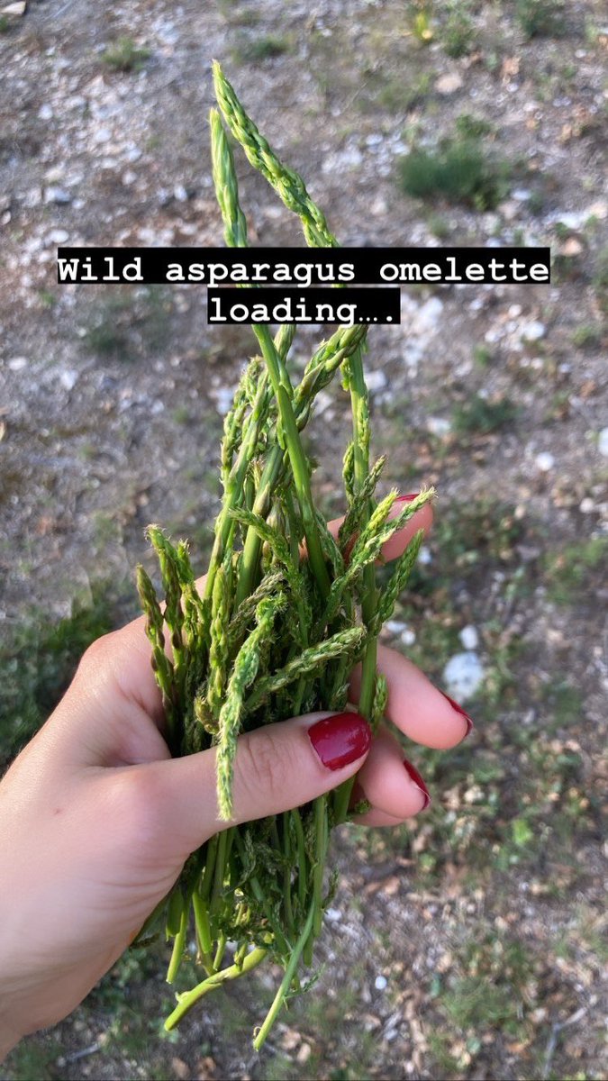 AEnselle's tweet photo. Being back home in Provence in spring for #lonelyplanet guidebook research means no wild asparagus is safe 😈🤤 https://t.co/DTYDV8bd5Y