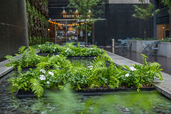 JMDLandscapes's tweet photo. The quiet courtyard nestled in midtown Manhattan is now a stunning green space, thanks to John Mini Distinctive Landscapes.
https://t.co/6BXGAZag5V
#JohnMini #Nyc #LandscapeDesign #Livingwalls #Greenbuildings https://t.co/LWVZSWioge
