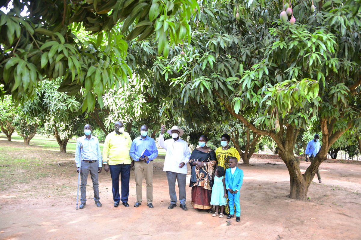 KagutaMuseveni's tweet photo. The purpose of my trip to the West Nile sub-region starting today, is to once again stoke the NRM efforts of wealth creation, by engaging with the people. 

I visited four farmers who have followed my  advice of adopting modern commercial and calculated farming that has now propelled them into the money economy.
 These farmers are proof that Museveni is not Enzo (lying) about the possibilities of creating wealth through commercial farming. 

Tomorrow, i will interact with  the wananchi at a public gathering to hear what they have to say on the Parish Development Model.