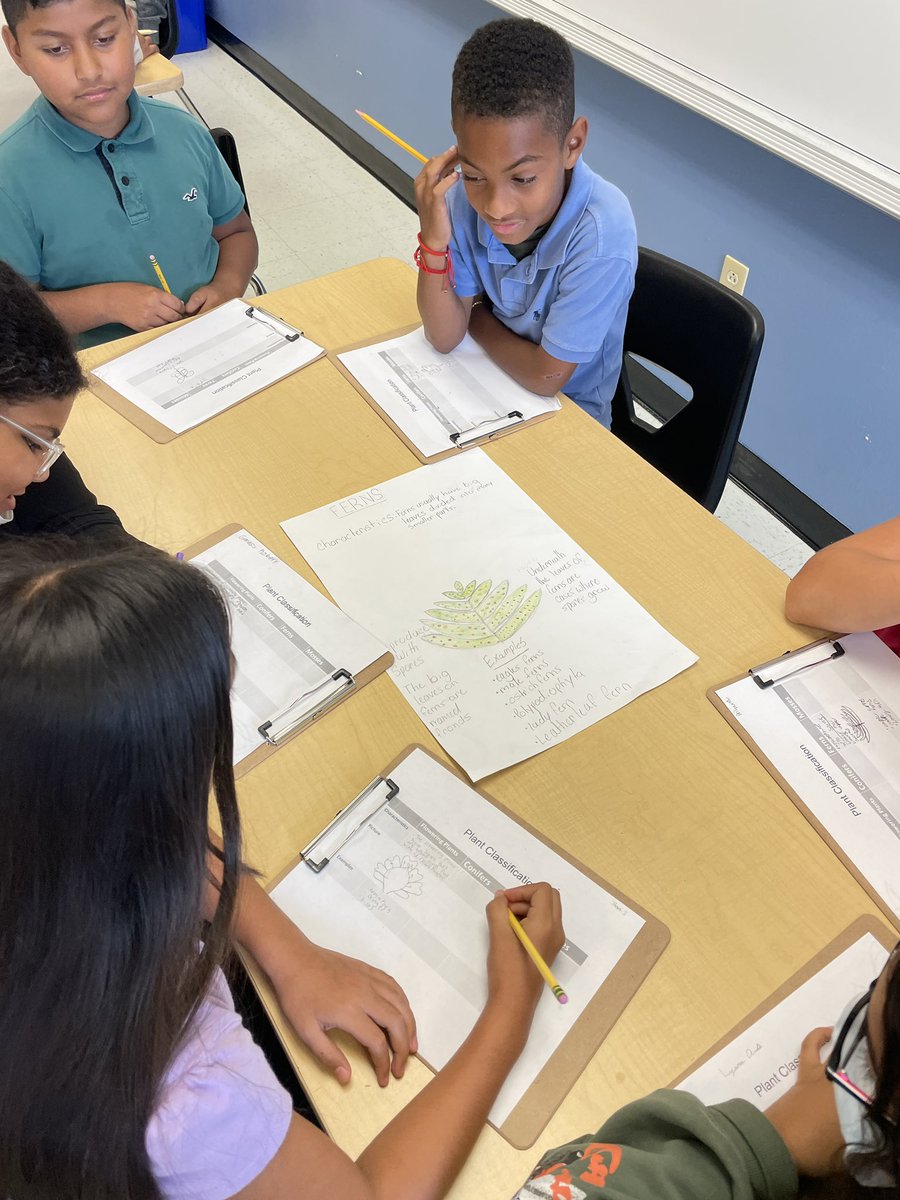 Reviewing plant classification as part of our state science test prep <a href="/CollierScience/">Collier Science Dept</a> 🌸🌿