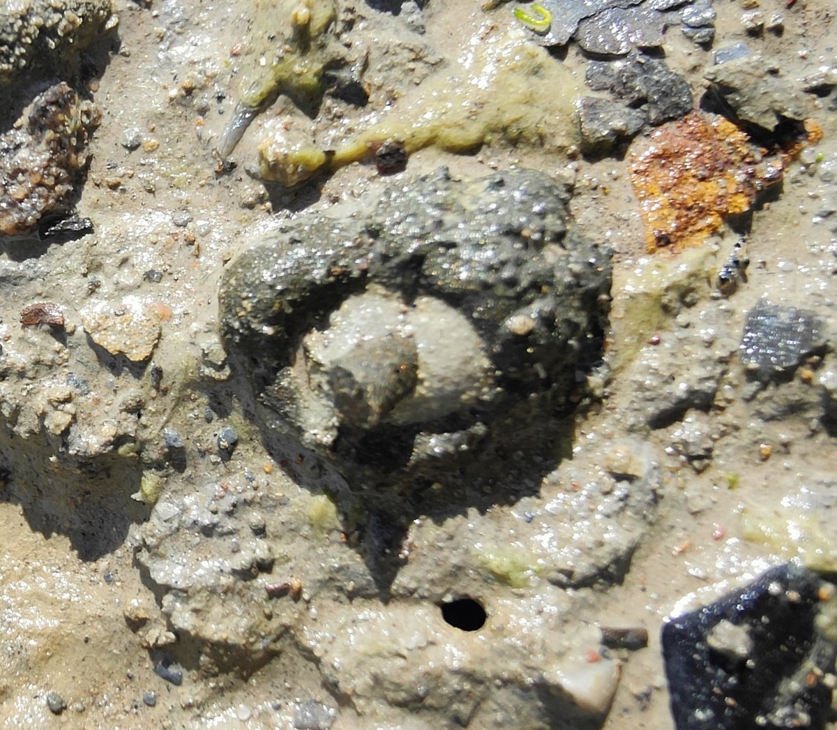 Darren Withers tweet media