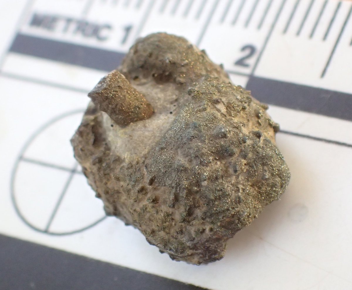 Darren Withers tweet media