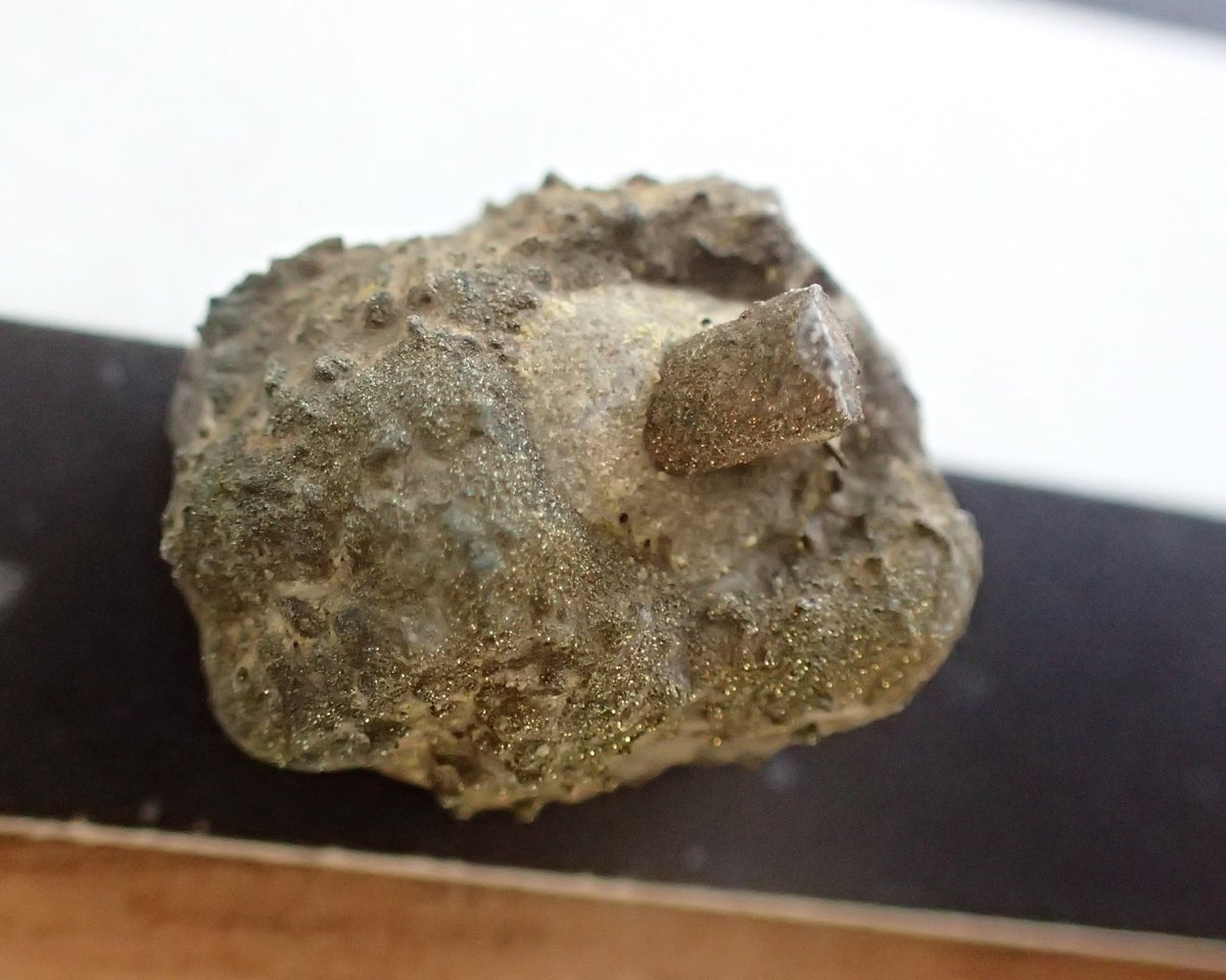 Darren Withers tweet media