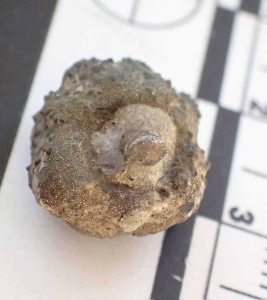 Darren Withers tweet media