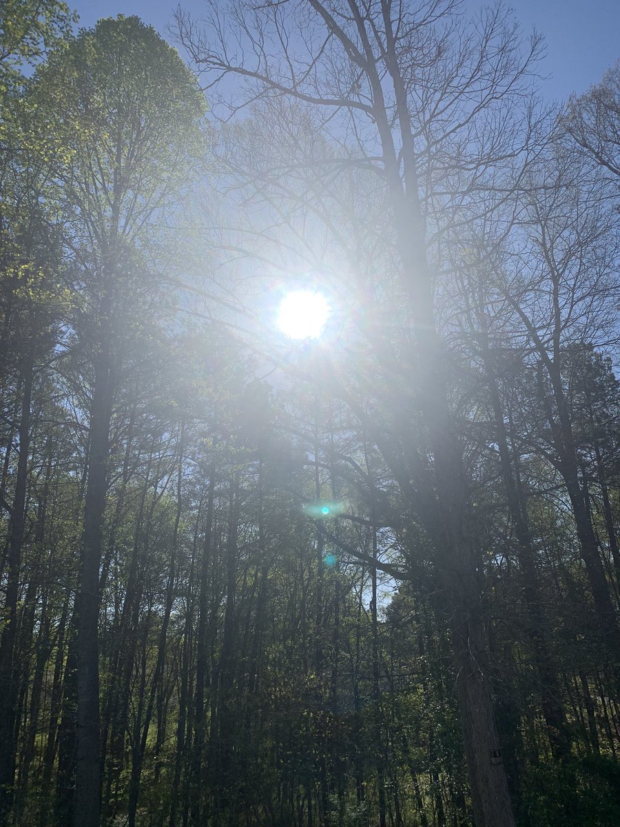GladineFrasso's tweet photo. Soaked up the Sun early in the morning for about 15 minutes. Photo was taken AFTER my daily Sun session. #ViewsFromTheBackYard
Do yourself a favor and get yourself some morning daily Sun!
If you want to know why, read/listen to @hubermanlab content 🧠💪🏾 https://t.co/cRBphzMtSp