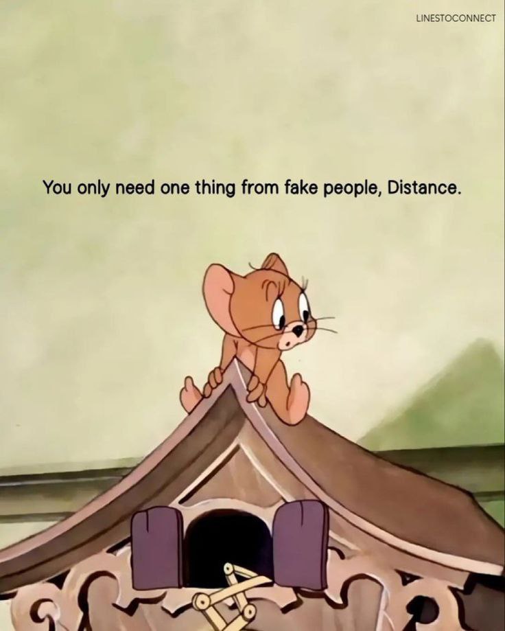 ActionableMind's tweet photo. 7 Deep quotes about psychology and Life.
1. https://t.co/0et9w9IkXO