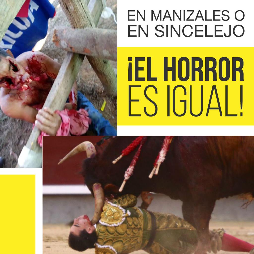 En Córdoba es hora de que reconozcamos que las corridas de toros y corralejas no son arte, nicultura, sino actos de violencia y barbarie. esto tiene que acabarse. #SíAl328
#NiCorridasNiCorralejas  <a href="/NicolasBarguil/">Nicolas Barguil 🏛️</a> <a href="/MarcosDanielPG/">Marcos Daniel🌳</a> <a href="/wmanzur/">Wadith Manzur Imbet</a> @sarayrobayobech <a href="/Lilianabitarc/">Liliana Bitar</a>