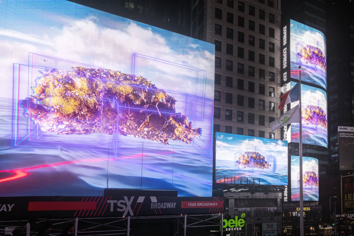 MARK DORF tweet media