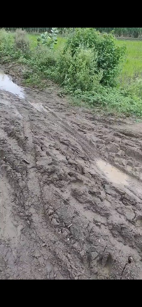 Neeteshpatel8's tweet photo. @nitin_gadkari माननीय महोदय,
बड़े दुःख के साथ आप को बताना पड़ रहा है की मध्यप्रदेश के जिला नरसिंघपुर, तहसील ग़ोटेगाँव (ओबी रोड से बेलखेड़ी पोनिया को जाने वाला मार्ग) की ग्राम पंचायत पोनिय, डूंगरिया के ग्राम बेलखड़ी (टिकरी)में आज़ादी के इतने साल बाद भी सड़क का निर्माण नही हुआ हैं https://t.co/E3GSryIa7Y