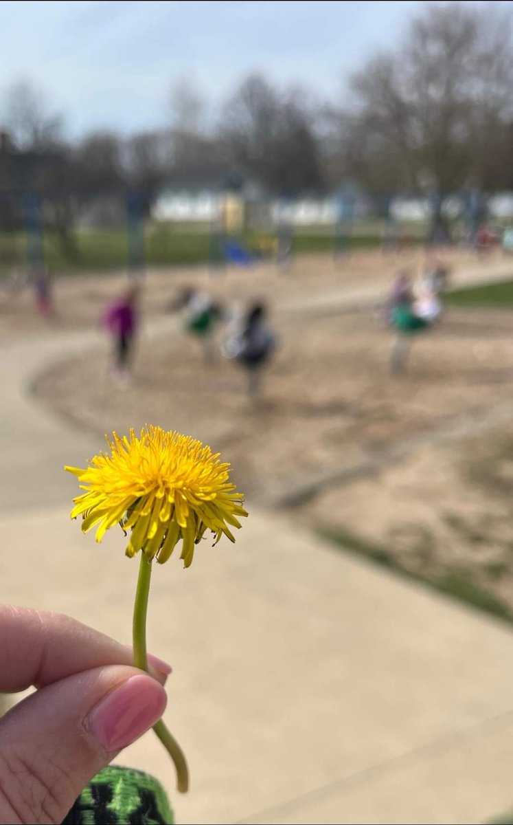 🌱Spring is here!🌱 A New Groningen teacher was given her first recess dandelion! Enjoy the day, ZPS friends! #ZPSLearningforLife