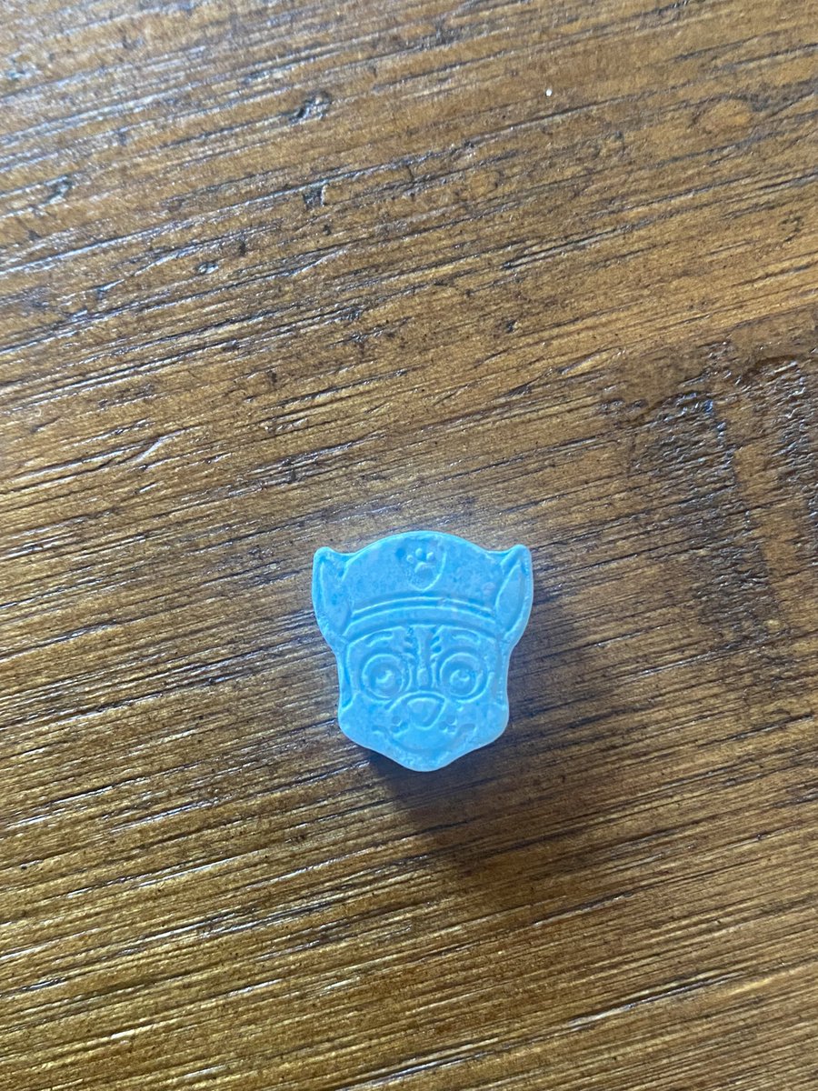 i’m about to pop this paw patrol molly and forget about you