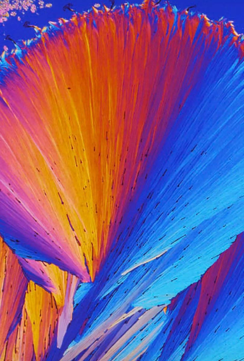 veda_vkocke's tweet photo. Na fotečke vidíš mikroskopický snímok kryštálikov ženského pohlavného hormónu estradiolu ✨🤩
@veda_vkocke
#vedavkocke #undermicroscope #microscope #biology #science https://t.co/01BeZ6fLlz