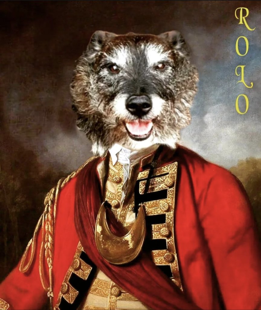 It's National pet day! 🐾 Here's Rolo getting into the history spirit! Check out our other posts. #NationalPetDay #publichistoryandheritage #GHS23 #uod #dog