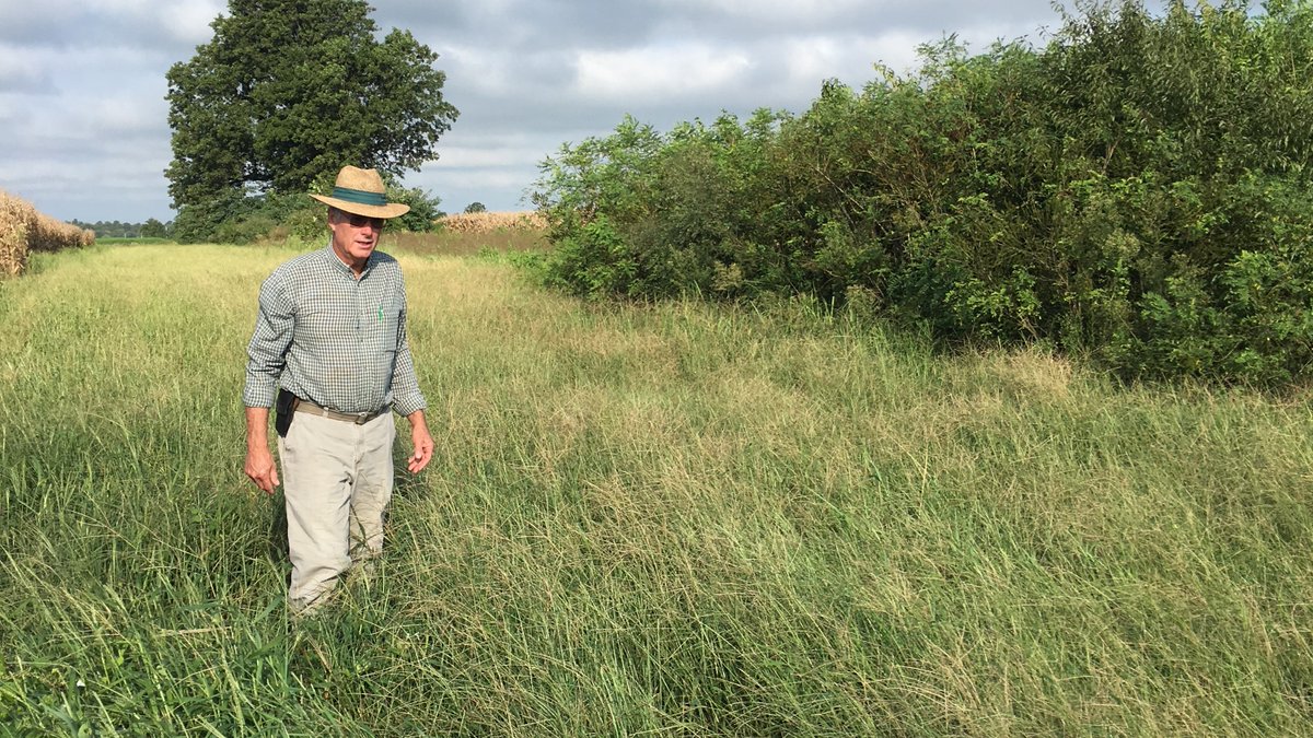 NRCS_Missouri's tweet image. Deadline approaching! Have an active #CSP contract enrolled as a 2019 Classic or 2019 Regional Conservation Partnership Program (#RCPP) CSP and expiring in 2023? Don't miss your chance to submit for renewal by April 28.