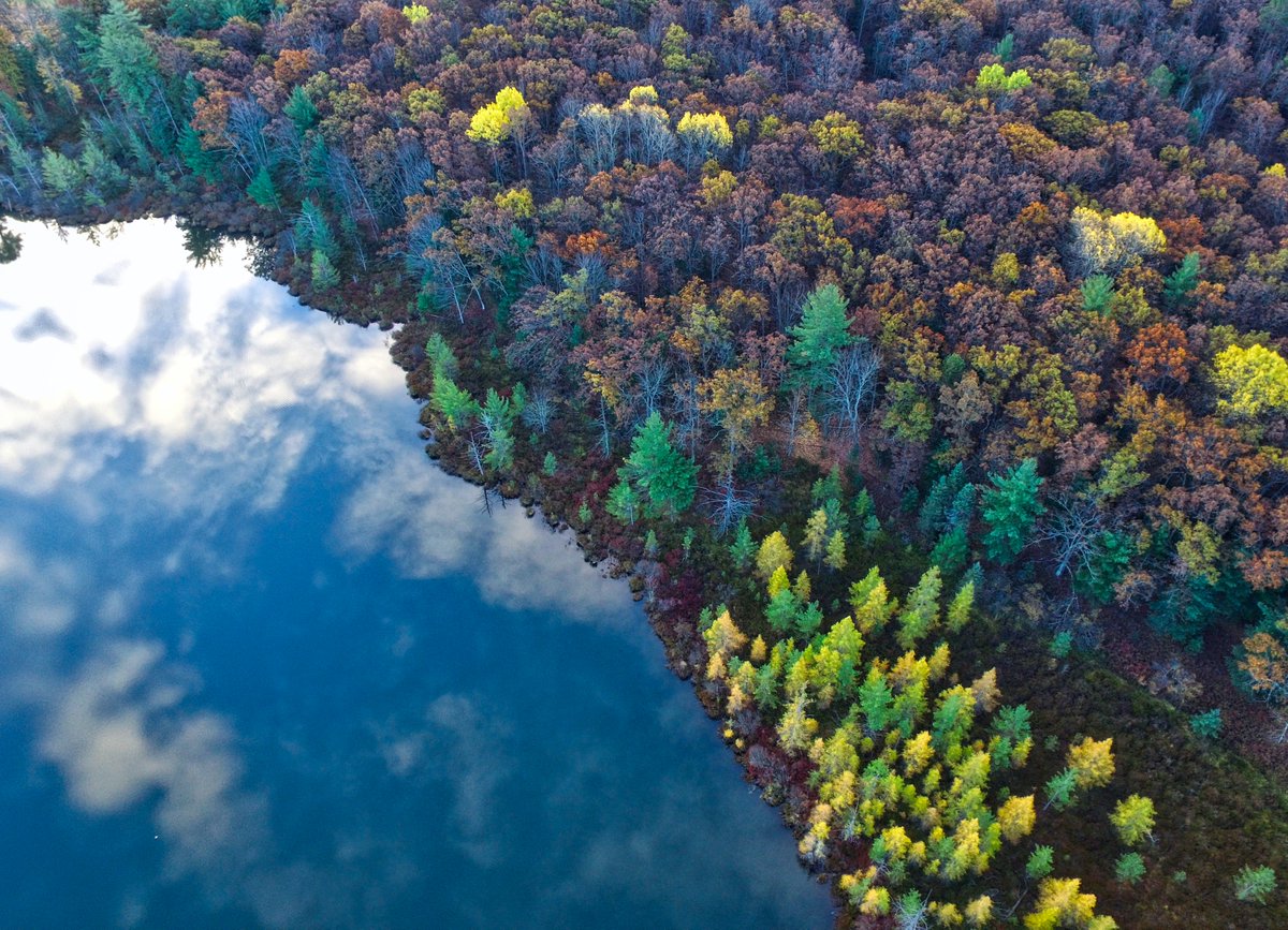 ForestCarbonMSU's tweet photo. .@laurentcooper & Daphna Gadoth presented at the 2023 MI Chapter of Soil & Water Conservation Society Conference as part of #ANRweek. Their talk focused on forests & wood products as a natural climate solution for Michigan's net-zero GHG emission goal: https://t.co/t50y8OUcMH https://t.co/SDFdSddLqo