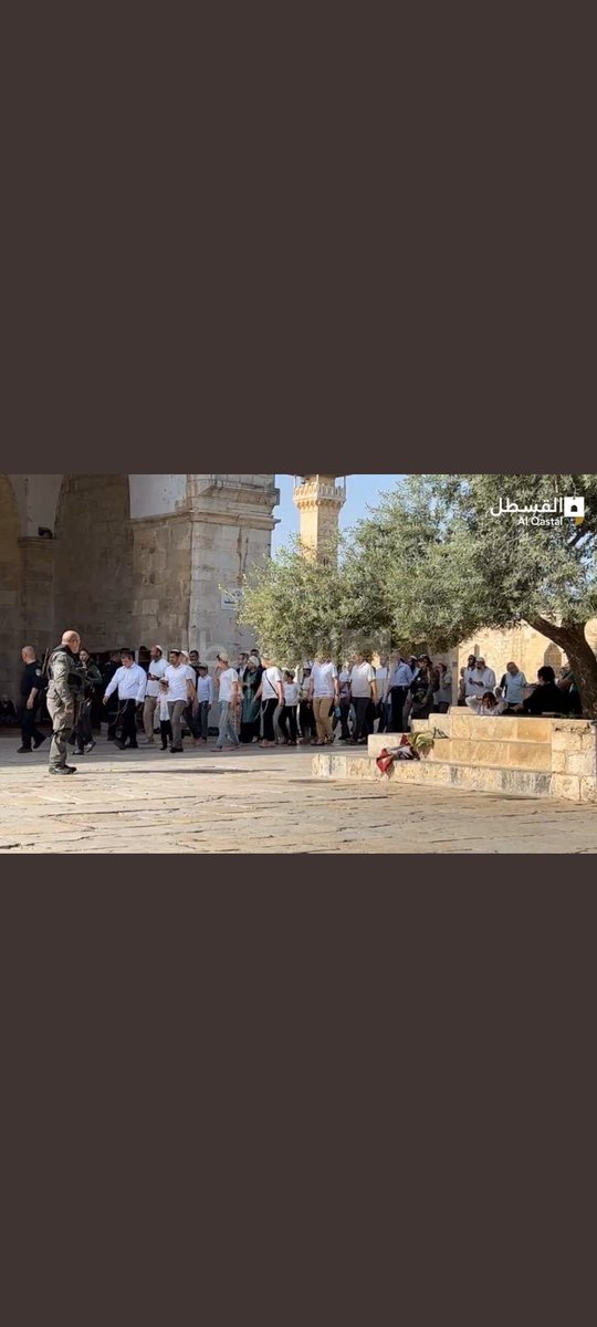 ملا هیبت الله دی دامیرالمومینین لقب دځانه څخه ایسته کړی
او یادی فلسطین ته لښکر اماده کړی
مبارزینو او اسلامپاله وروڼو  داږغ راسره بدرګه کړی