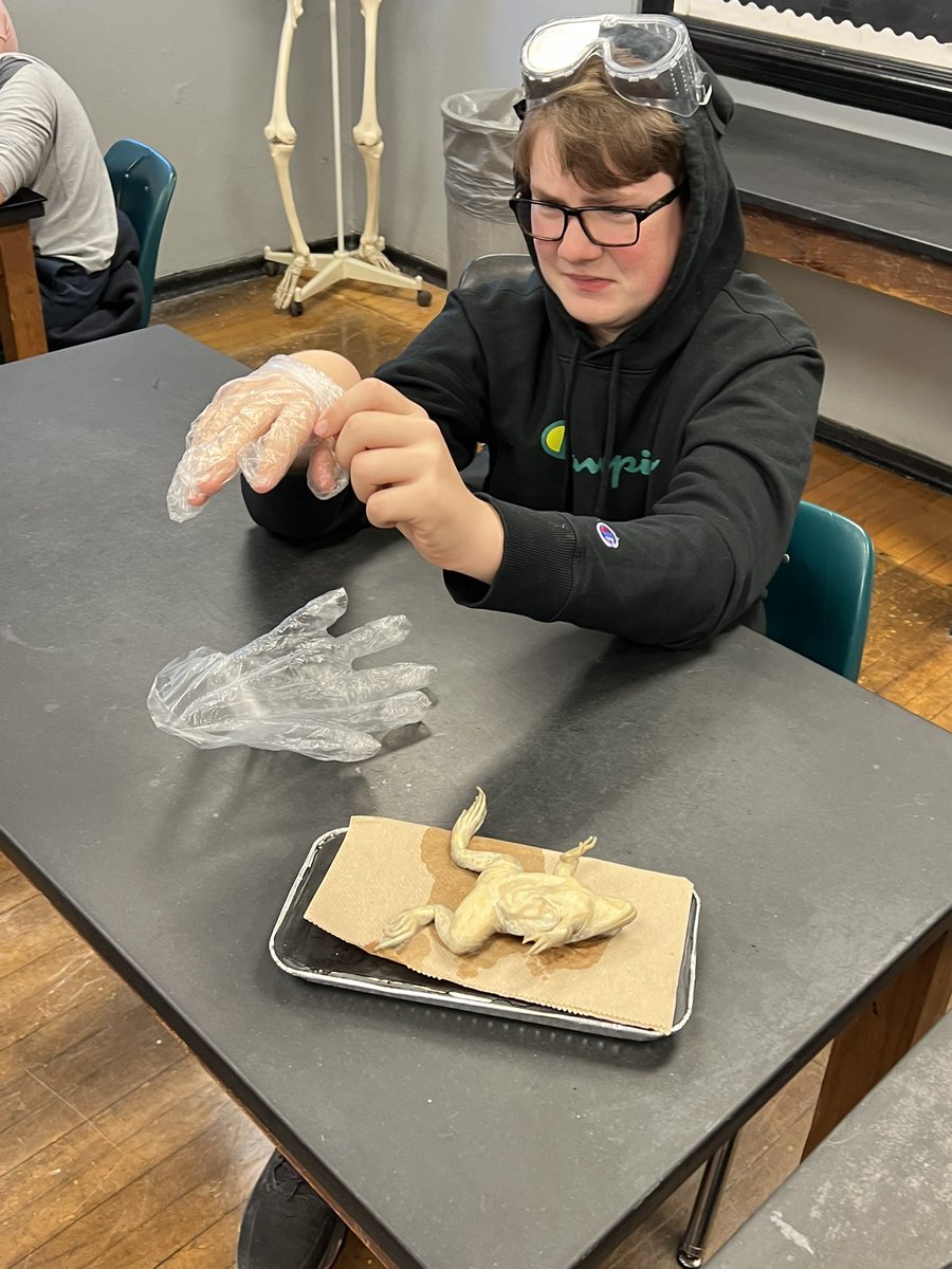 BethHouf's tweet photo. Dissection day with @ChelseaJacobs23 #lifescience #fmsteach #fultonproud https://t.co/RUjMLwoPl4