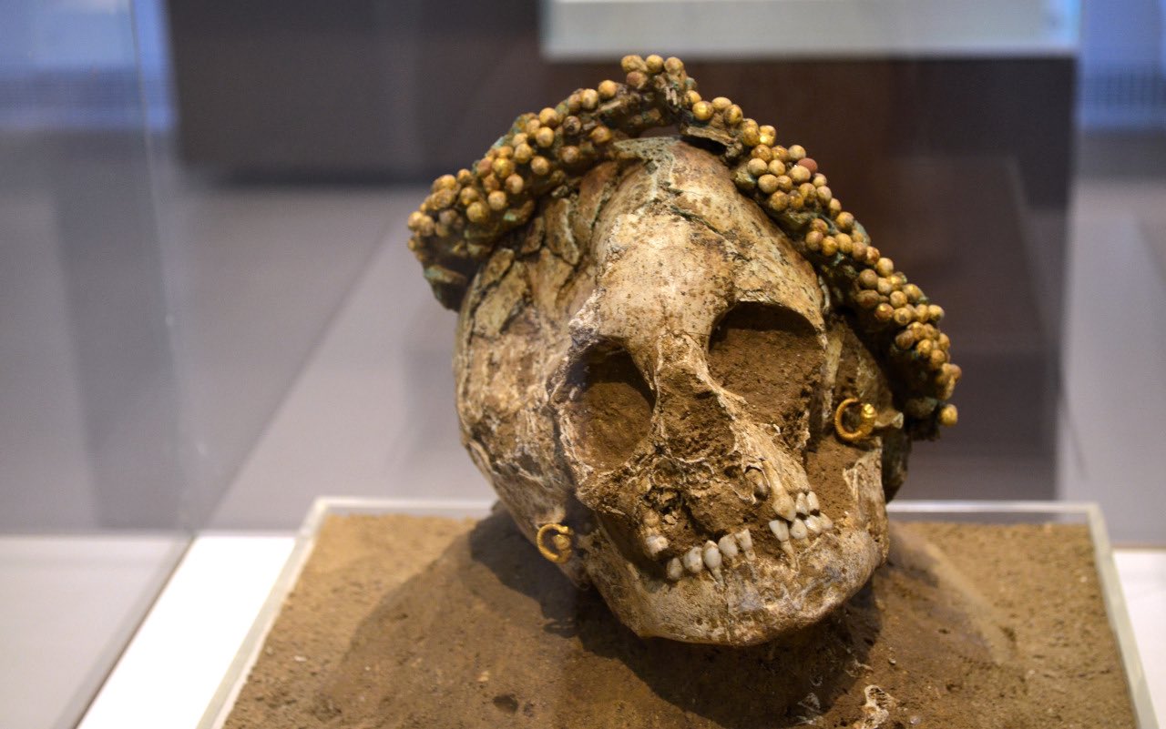 Se ha descubierto el cráneo de una niña de la Antigua Grecia con una corona de flores de cerámica. Estos restos han sido datados entre el 400 y el 300 a. C.