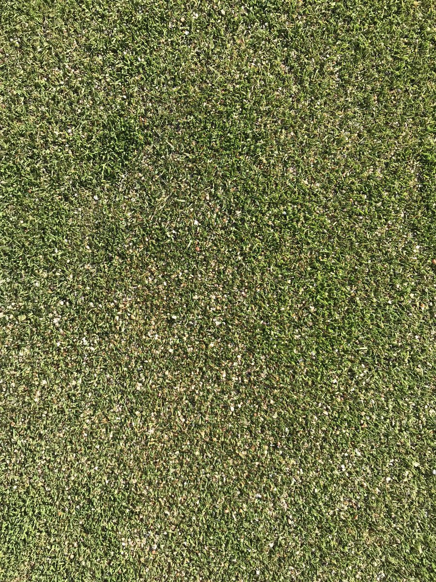 trapperjay45's tweet image. Three weeks post aerification in SW Michigan. Love how far they heal in the spring even when it’s still cold. #SpringVsFall